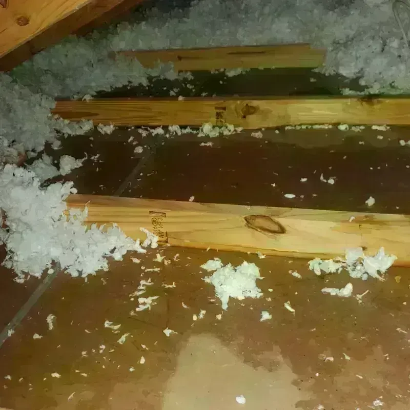 Attic Water Damage in Sandy, OR