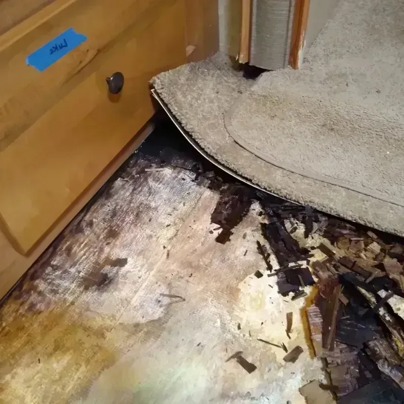 Wood Floor Water Damage in Sandy, OR